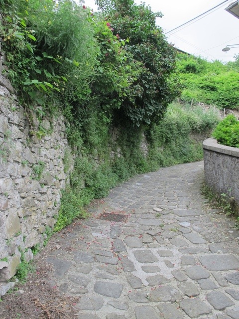 Vico Pancellorum 20120605-072538.jpg
