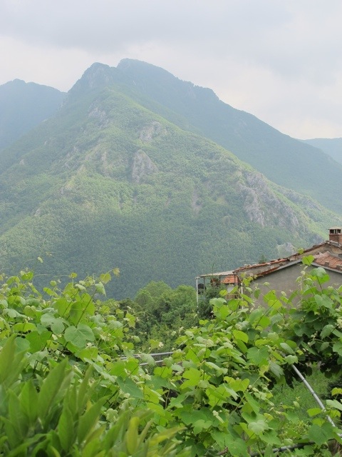 Vico Pancellorum 20120605-072609.jpg