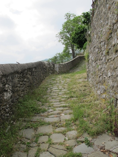 Vico Pancellorum 20120605-072805.jpg