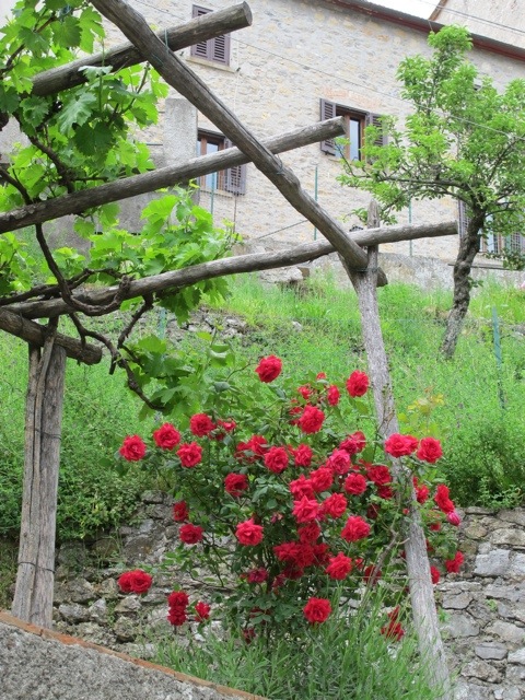 Vico Pancellorum 20120605-072925.jpg