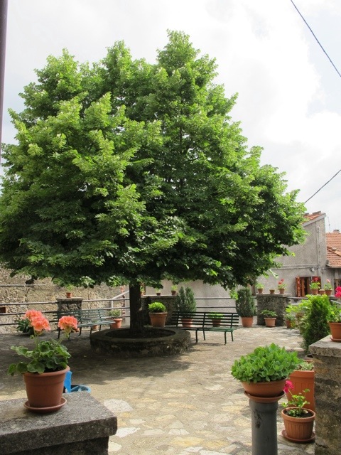 Vico Pancellorum 20120605-073347.jpg