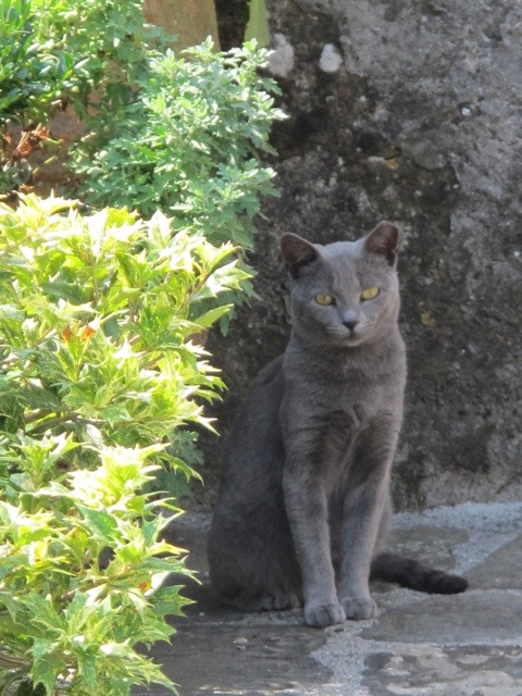 Vetteglia Bagni di Lucca 20120921-045310.jpg