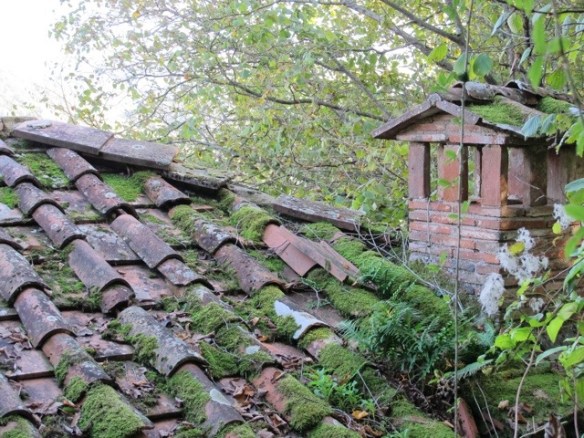 Bugnano abandoned village in Bagni di Lucca 20121020-102355.jpg