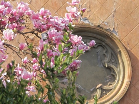 Bagni di Lucca 20121217-100233.jpg