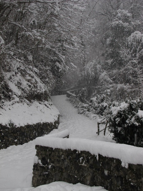 snow in Bagni di Lucca 20130211-061913.jpg