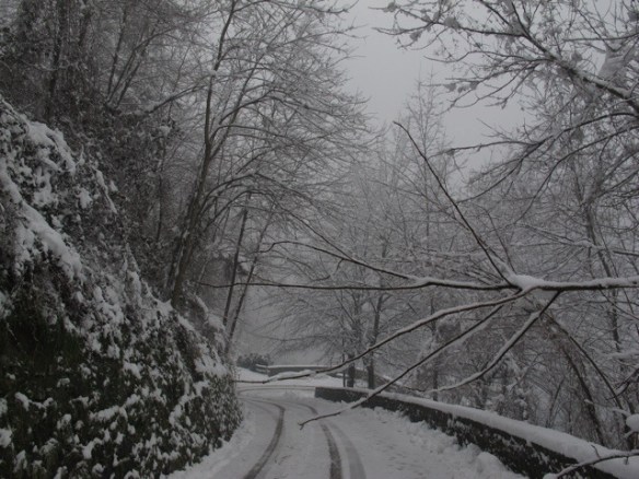 snow in Bagni di Lucca 20130211-062738.jpg