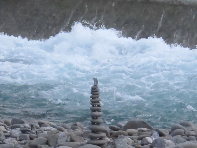 rock art at Ponte a Serraglio 20130328-062954.jpg