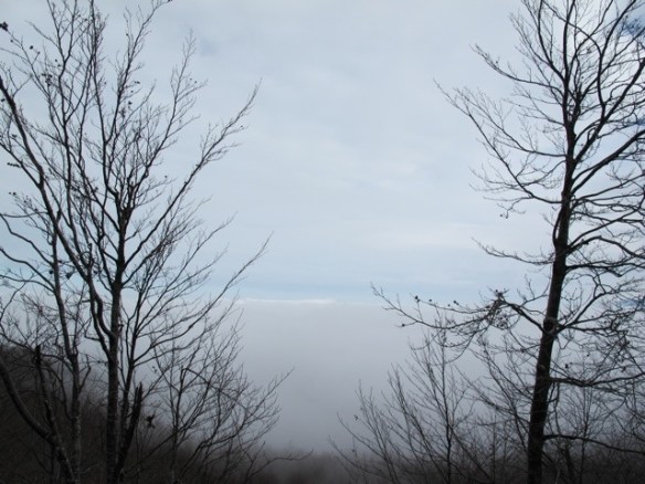 Tuscany/Emilia Romagna 20131126-085215.jpg