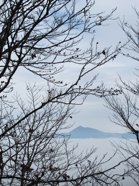 Tuscany/Emilia Romagna 20131126-085306.jpg