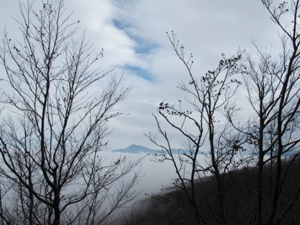 Tuscany/Emilia Romagna 20131126-085338.jpg