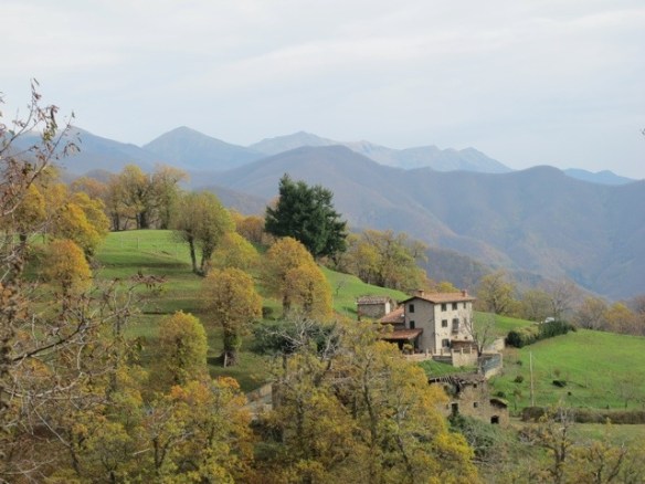 San Pelegrino 20131126-085719.jpg