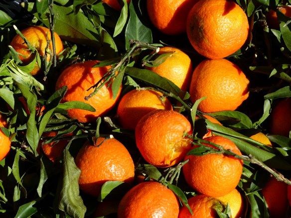 Bagni Di Lucca Markets