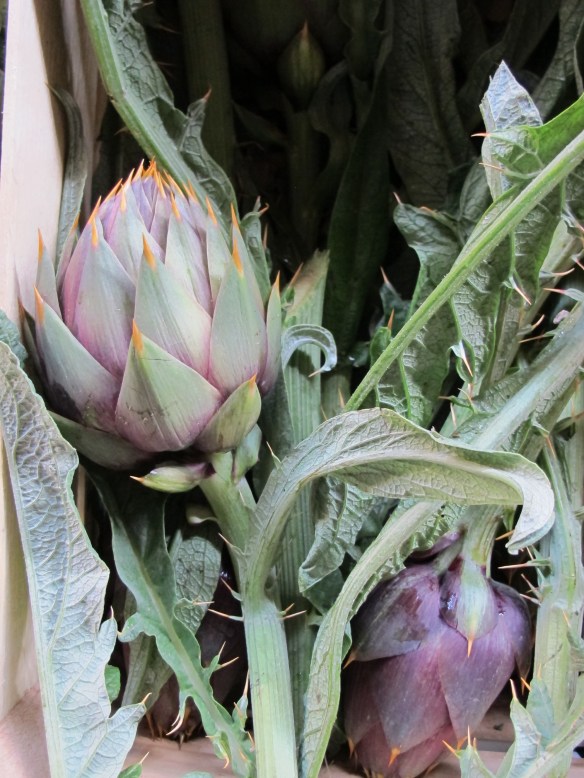 Bagni Di Lucca markets
