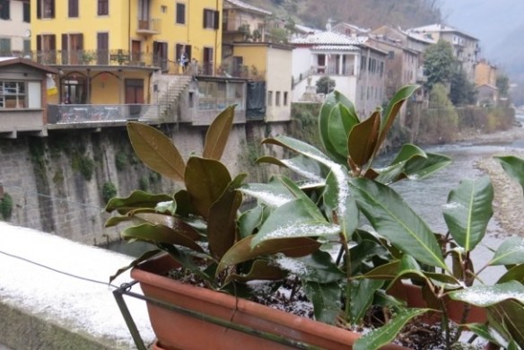 snow at Ponte a Serraglio