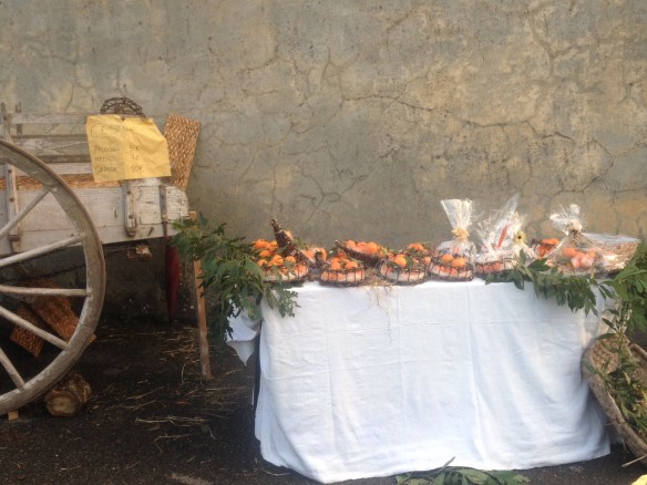 Presepi Viventi Granaiola