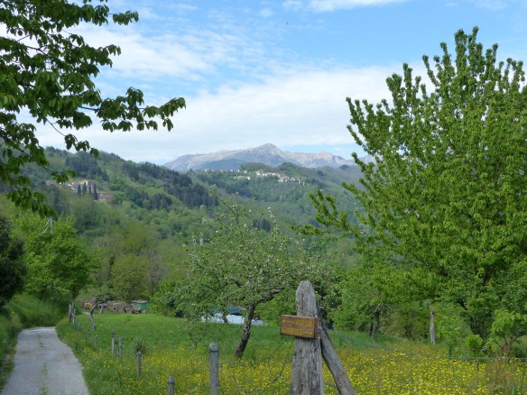Monti di Villa