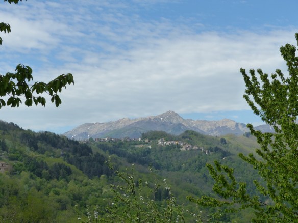 Monti di Villa