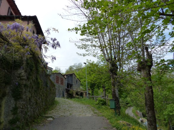 Monti di Villa