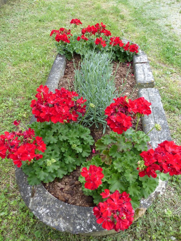 Ponte a Serraglio flowers