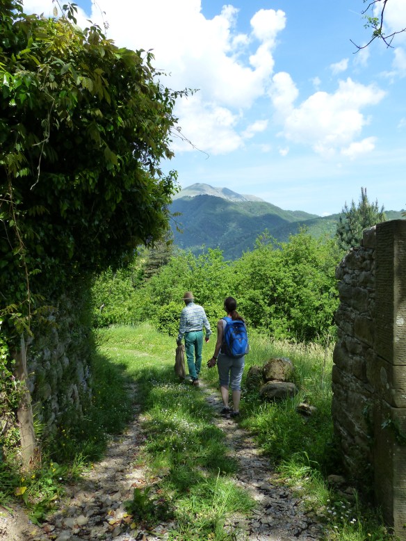 walk to Ponte a Serraglio