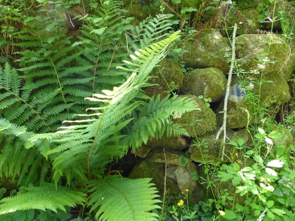 walk to Ponte a Serraglio