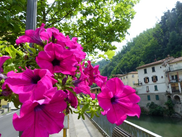 Bagni di Lucca flowers