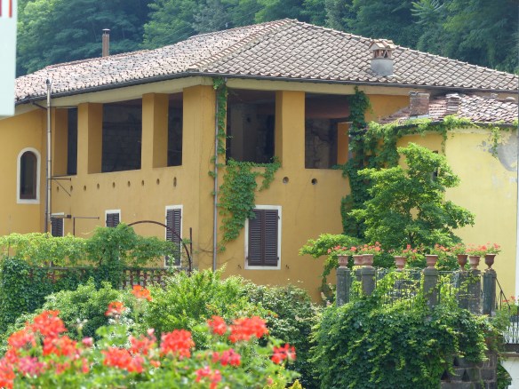 Bagni di Lucca flowers 