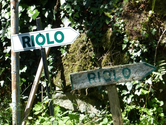 Riolo