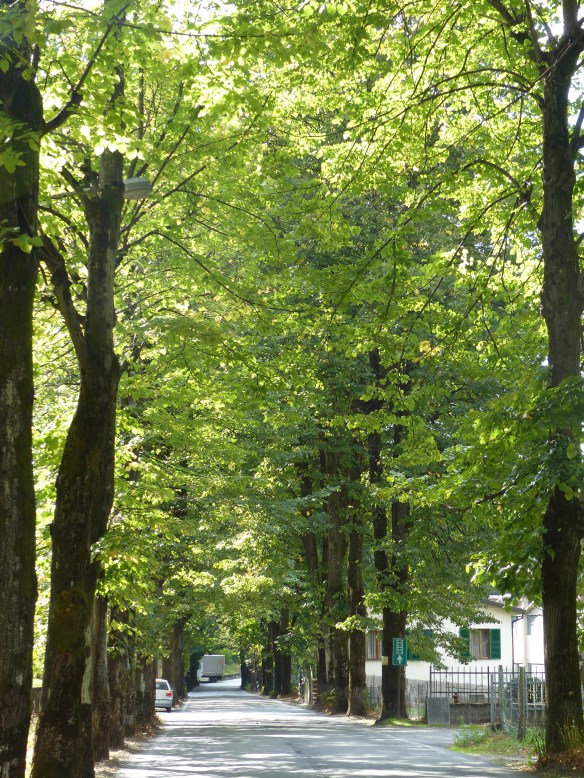 SS Brennero Ponte a Serraglio