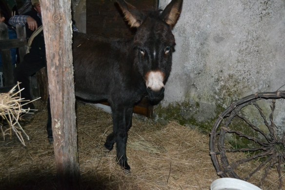 Valerio Ceccarelli Presepe Vivente 