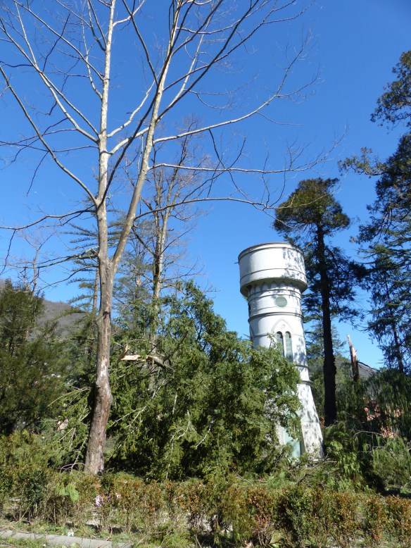 Tornado damage in Bagni di Lucca