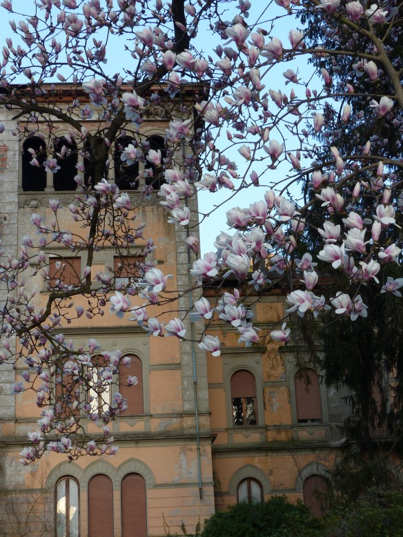 magnolias Villa Fiori