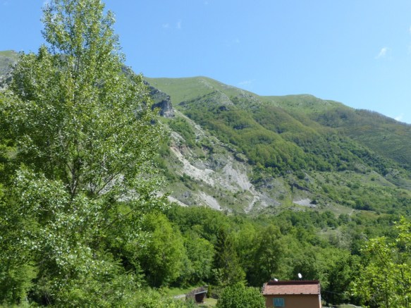 Campiglia Alta