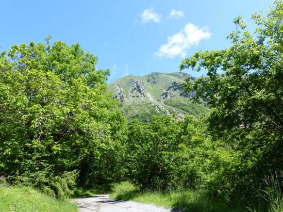 Campiglia Alta