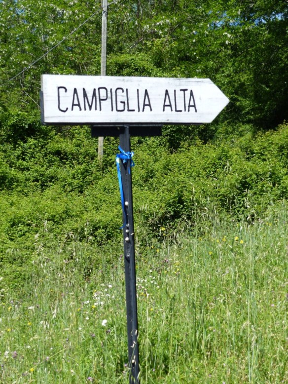 Campiglia Alta