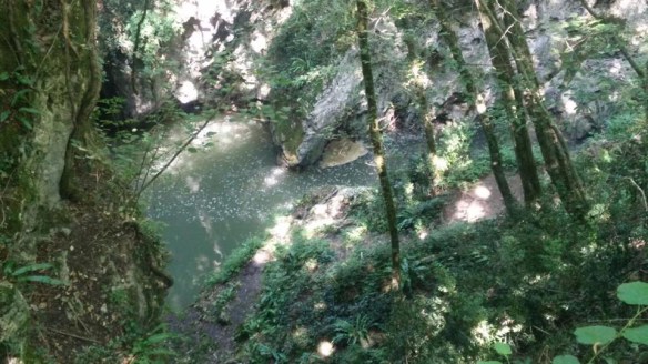Paolo Roverani photo of Lima River