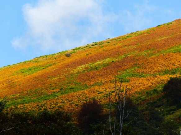 Bagni di Lucca autumn