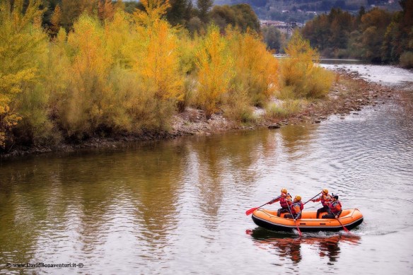 David Bonaventura photo