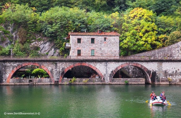 David Bonaventura photo 