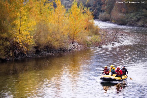 David Bonaventura photo