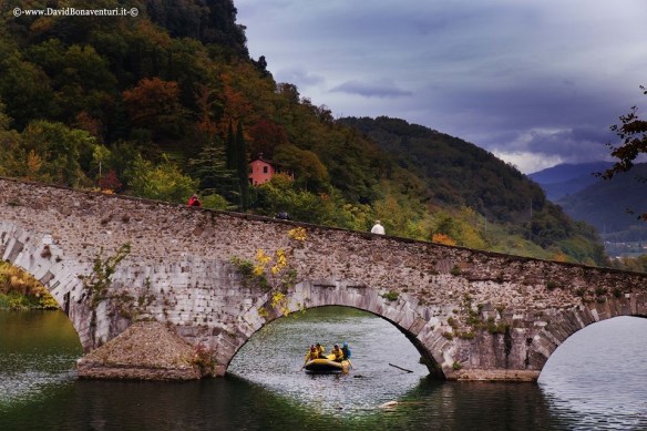 David Bonaventura photo 