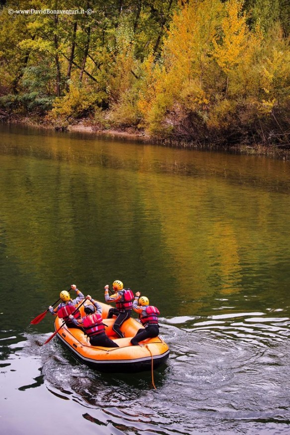 David Bonaventura photo