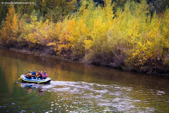 David Bonaventura photo