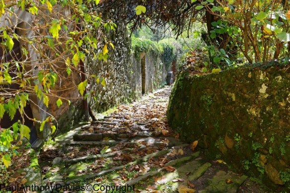 Pieve di Monti di Villa