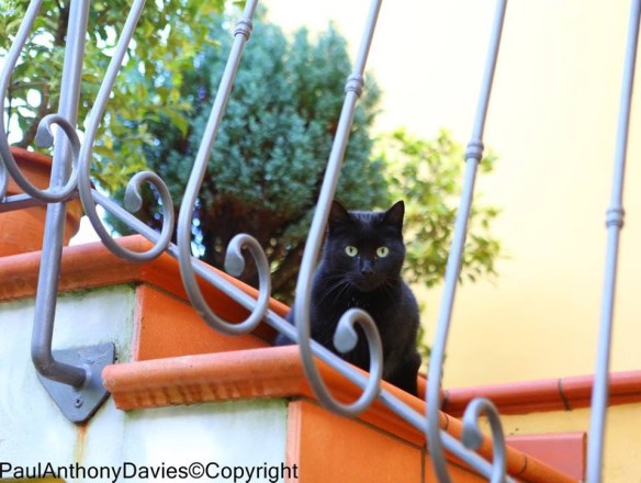 Pieve di Monti di Villa