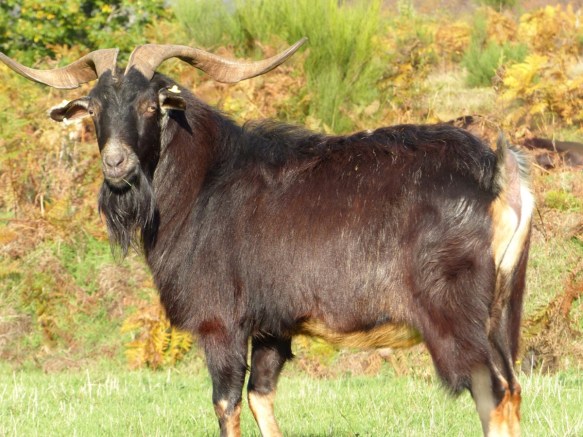 Autumn Bagni di Lucca 