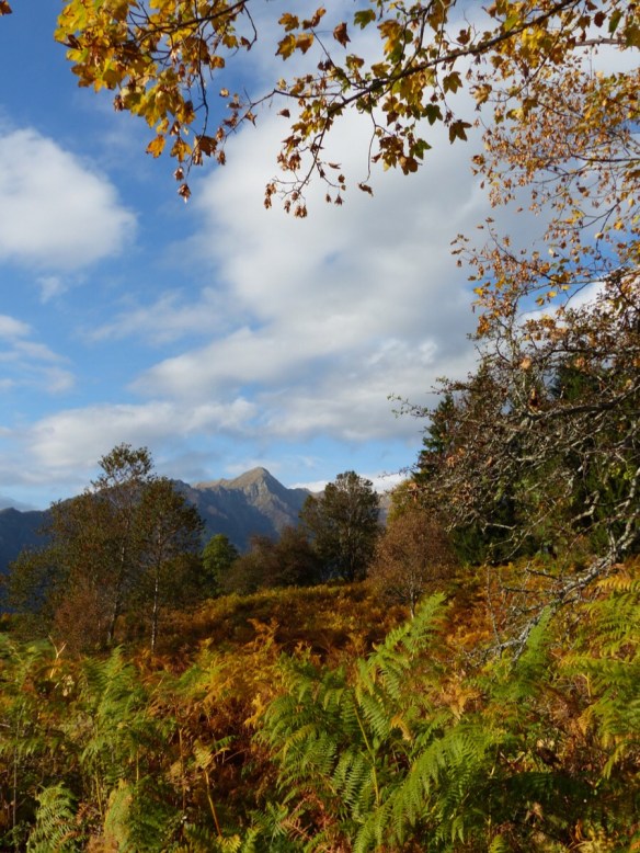 Autumn Bagni di Luccah