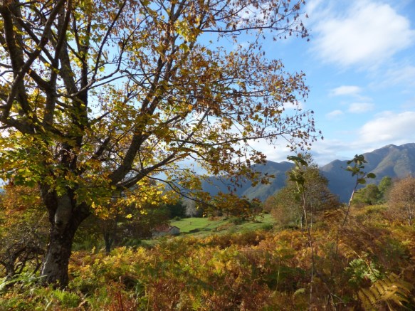 Autumn Bagni di Lucca 