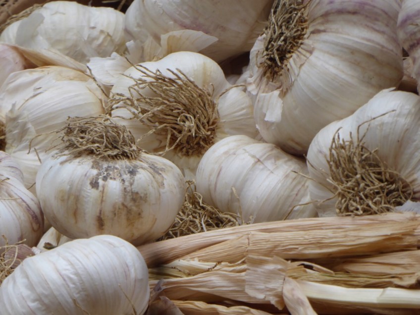 Ponte a Serraglio market