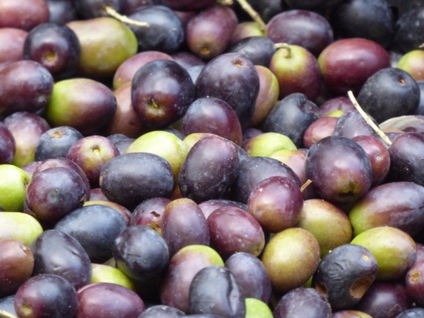 Ponte a Serraglio market